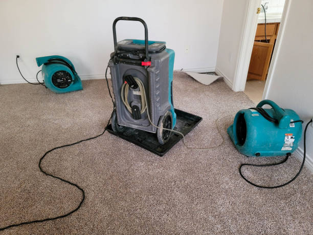 Best Local water damage restoration  in Heppner, OR