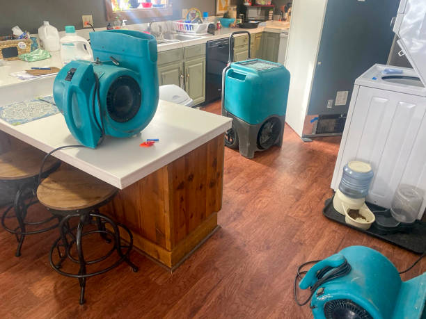 Best Water damage contractors near me  in Heppner, OR